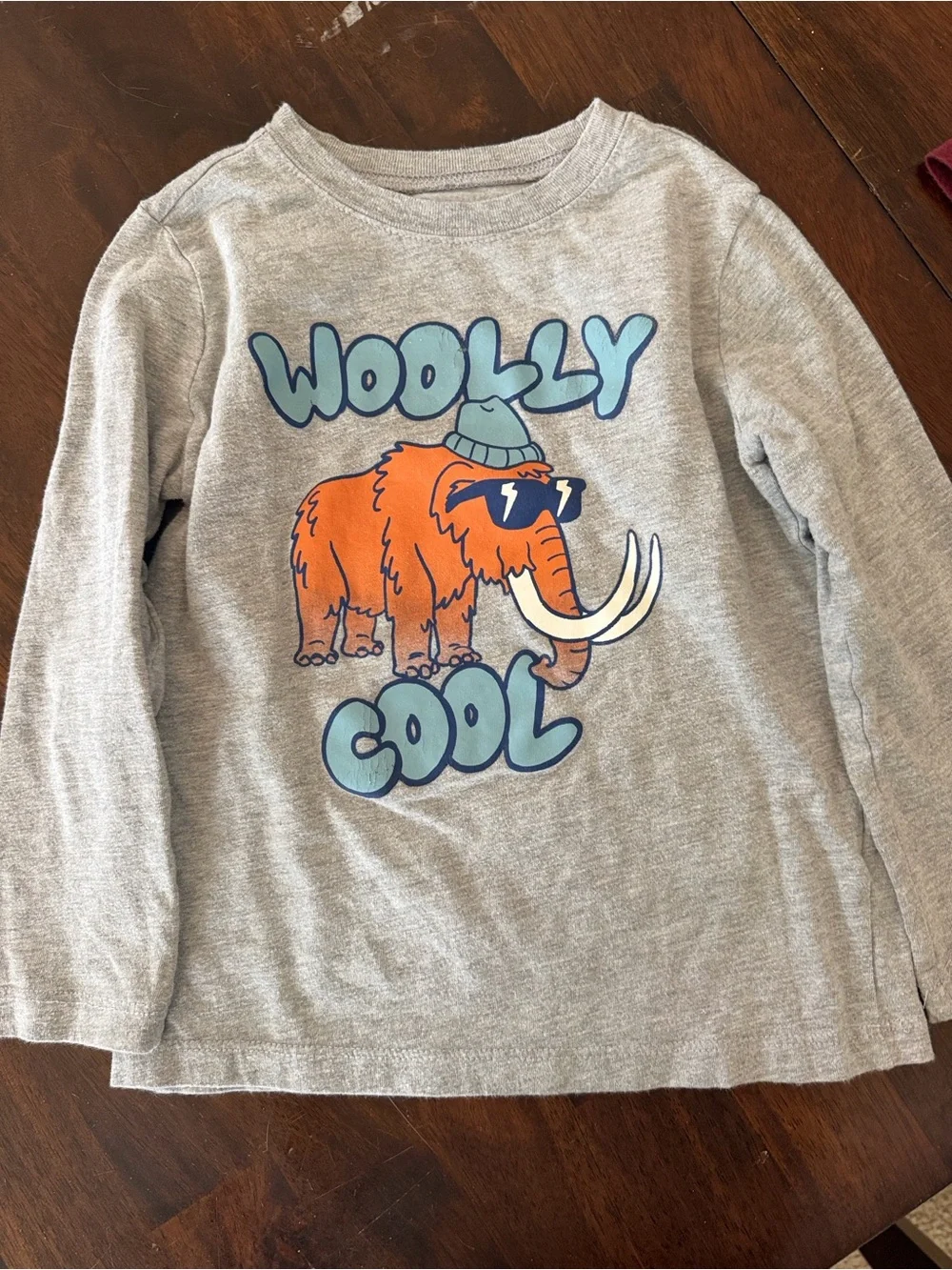 Carter's Gray Long-Sleeve 'Woolly Cool' Mammoth Tee